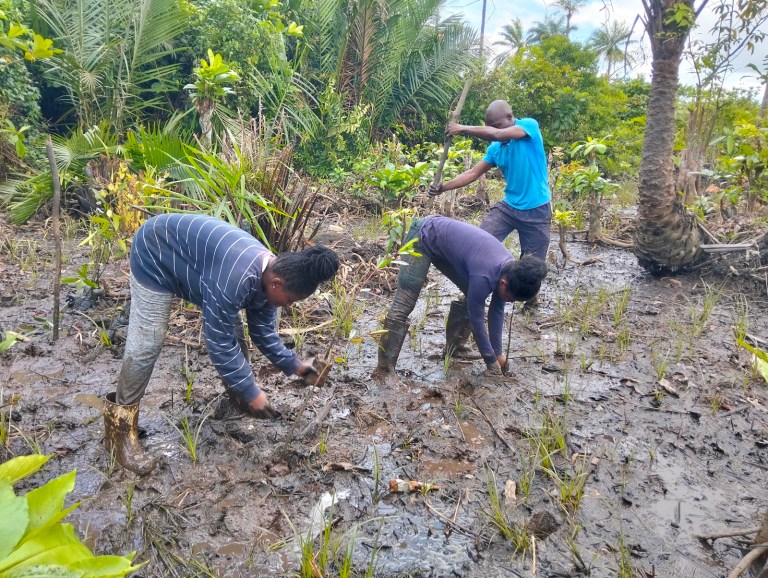 brc-restoration