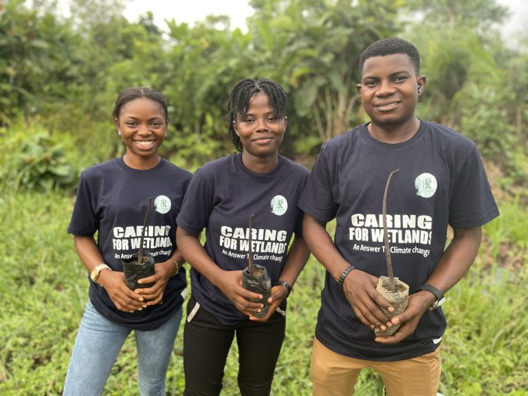brc-nigeria-blog
